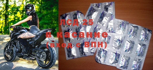индика Алексин