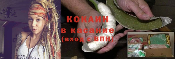 индика Алексин