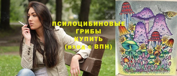СК Алексеевка