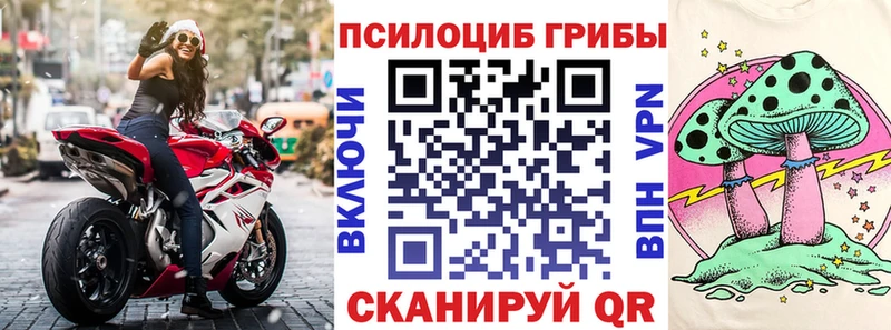 Галлюциногенные грибы мицелий  Правдинск 